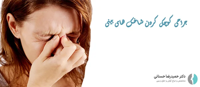 عمل کوچک کردن شاخک های بینی
