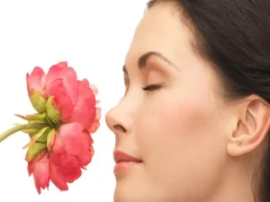حس بویایی بعد از عمل بینی